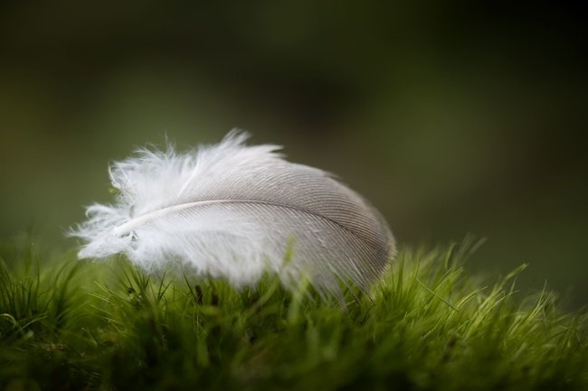 Když jde fotografie ze srdce