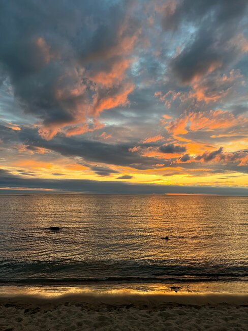 Z Teplic nad Metují do Finska: Rodinná výměna v severském stylu