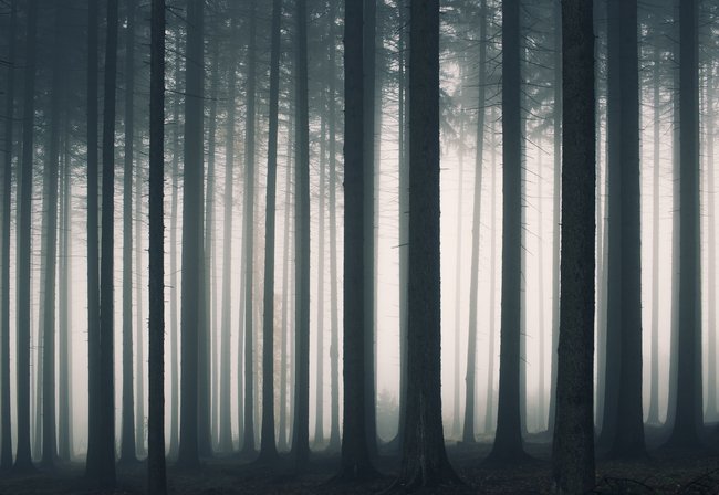 Když jde fotografie ze srdce