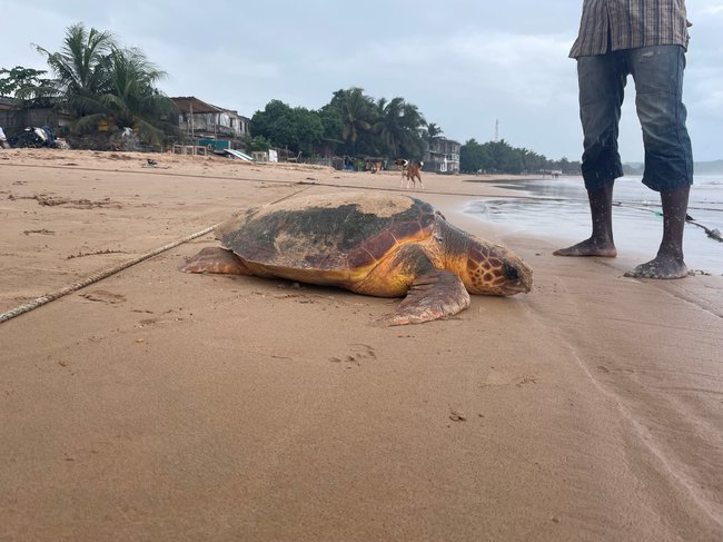 Nebát se a jít do toho po hlavě