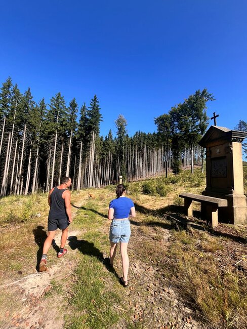 Lesní dělník Zdeněk Zítka: Starám se o syna a několik hektarů lesa