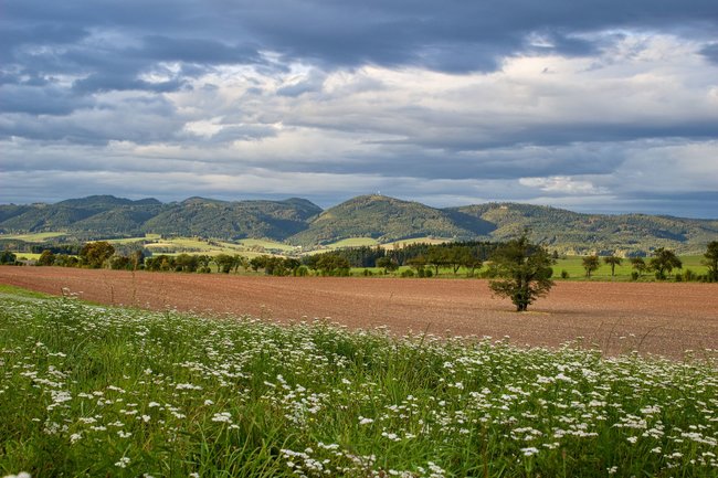 Když jde fotografie ze srdce