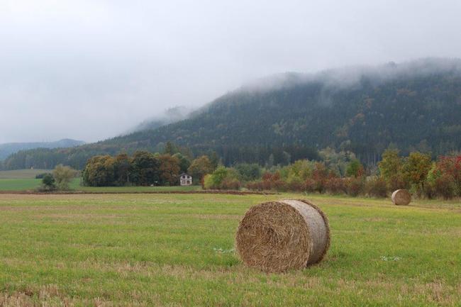 V pondělí začal Zelený týden EU, zapojila se i Maiwaldova akademie 