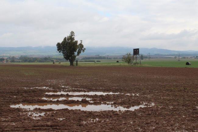 V pondělí začal Zelený týden EU, zapojila se i Maiwaldova akademie 