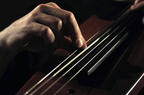 Ivan Hlas hrál a zpíval v Šonově