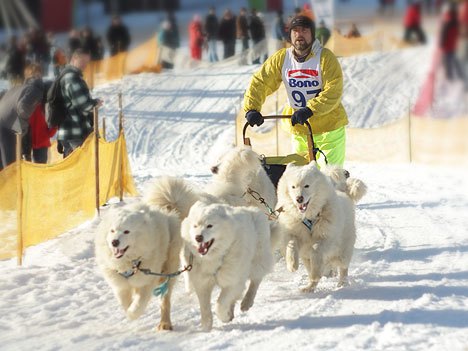 Aktualizováno: Musheři o víkendu ovládli Janovičky u Broumova 
