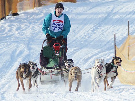 Aktualizováno: Musheři o víkendu ovládli Janovičky u Broumova 