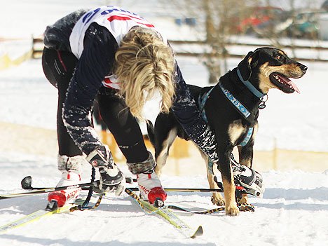 Aktualizováno: Musheři o víkendu ovládli Janovičky u Broumova 