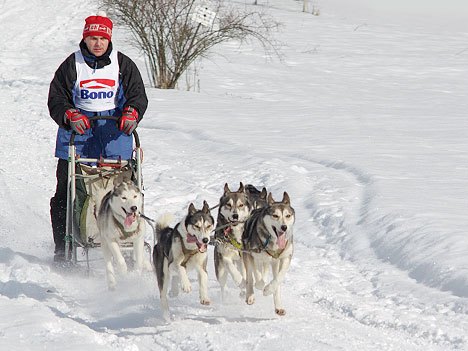 Aktualizováno: Musheři o víkendu ovládli Janovičky u Broumova 