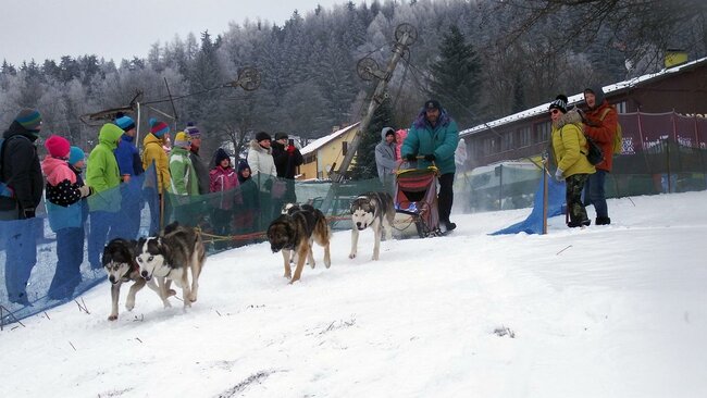 Psí závody na Janovičkách jsou zrušené, setkání musherů zůstává