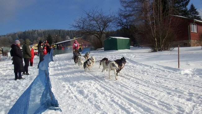 Psí závody na Janovičkách jsou zrušené, setkání musherů zůstává