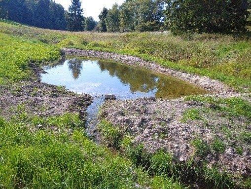 Dobrovolníci spolku JULINKA pomáhají pečovat o krajinu