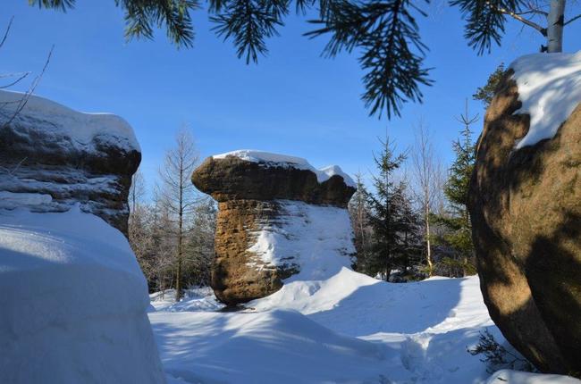 V zimě na hřiby? A proč ne…? 