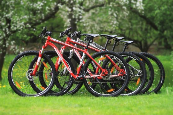 Na cyklistický závod Okolo Broumova si můžete půjčit kolo značky Specialized