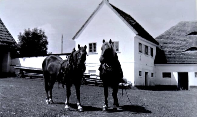 Vižňovem vede nová naučná stezka věnovaná rodu Walzelů