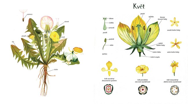 Sympozium ilustrace přináší bohatý program pro veřejnost