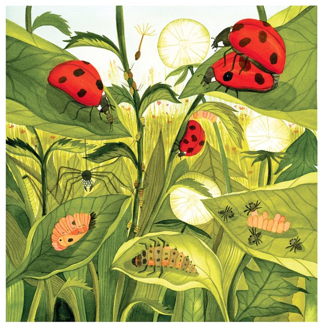 Sympozium ilustrace přináší bohatý program pro veřejnost