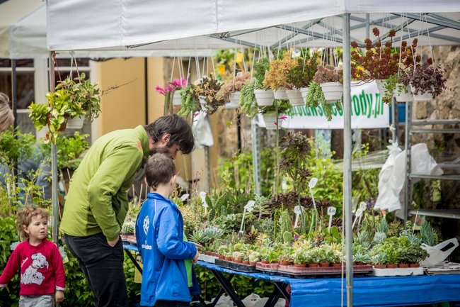 Tip na výlet: Festival květin a umění na zámku Książ