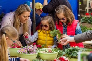 Tip na výlet: Festival květin a umění na zámku Książ