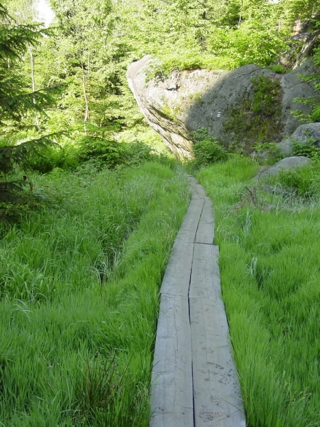 V soutěži Kudy z nudy uspěly Broumovské stěny