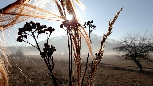 Skryté krajiny v našich duších