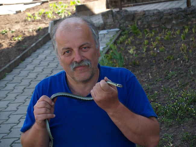 Mou srdeční záležitostí je vzácný ledňáček říční, říká fotograf Ladislav Patrný