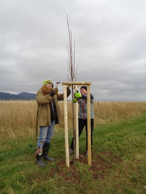 Julinka: Společnou prací pro zachování krajiny dalším generacím