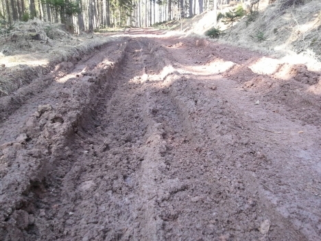 Lesní společnost Broumov: Soumrak tradičního lesnictví na Broumovsku 