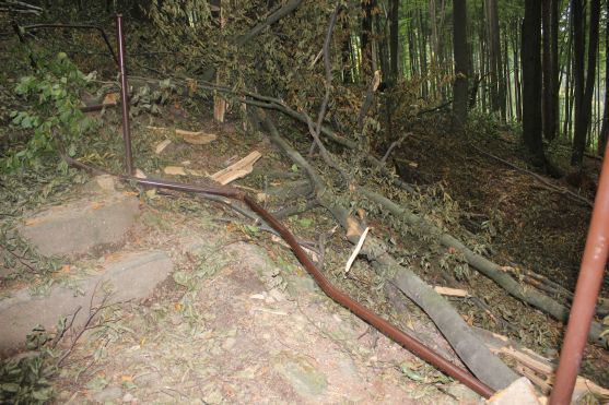 Turistická cesta z Křinic na Hvězdu je poničená těžbou dřeva. Lesy ČR slíbily nápravu 