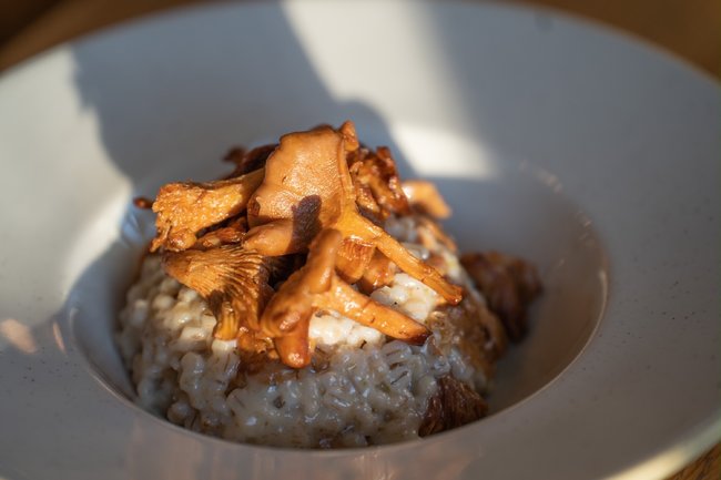 Liškové kroupoto od Jana Kubise