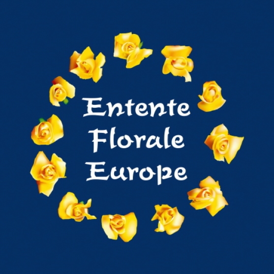 Aktuálně: Broumov získal stříbrnou medaili v soutěži Entente Florale Europe