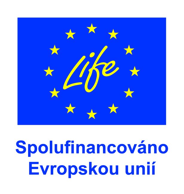 Jak bude fungovat sdílení elektřiny?
