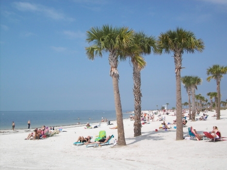 Z broumovského gymnázia na Floridu: Amerika - můj druhý domov 