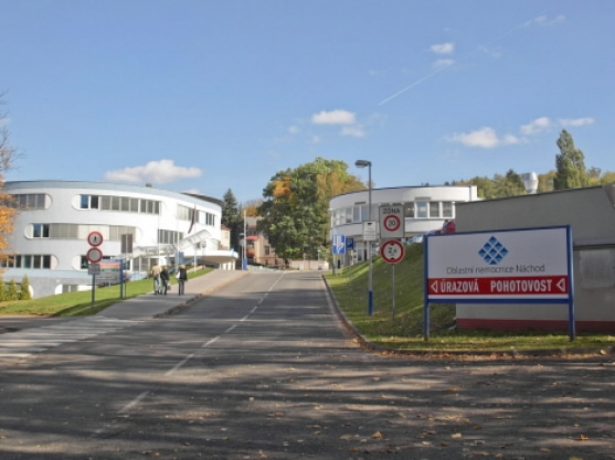 V Náchodě dělají malým pacientům během stonání společnost další malby