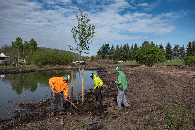 Díky projektu Voda na Broumovsku I bylo vysázeno několik stromořadí a vznikly nové tůně