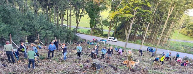 Spolek Julinka s dobrovolníky vysázel v kraji více než 2000 stromů