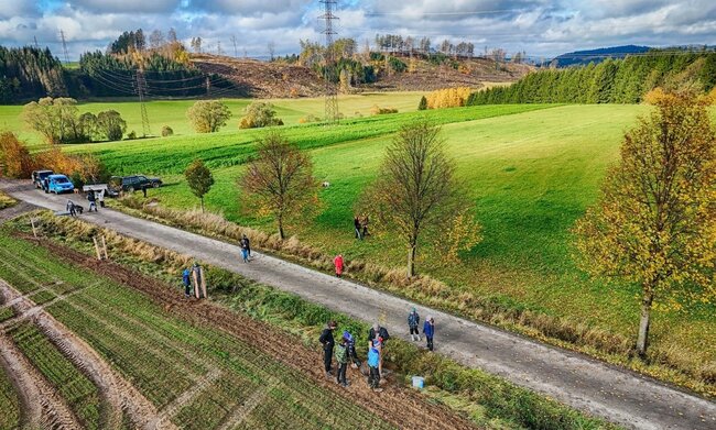 Spolek Julinka s dobrovolníky vysázel v kraji více než 2000 stromů 