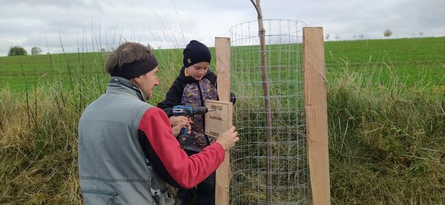 Spolek Julinka s dobrovolníky vysázel v kraji více než 2000 stromů