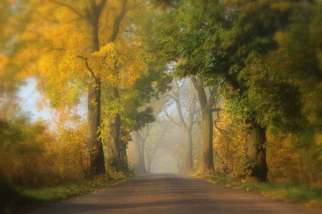 Když jde fotografie ze srdce