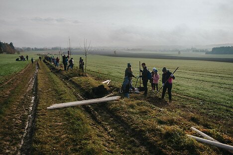Alej Ostašinka se rozrostla o dalších 50 stromů
