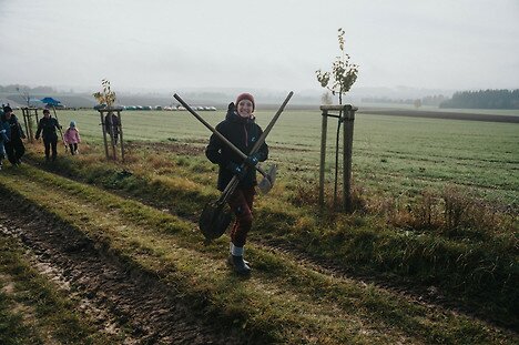 Alej Ostašinka se rozrostla o dalších 50 stromů 