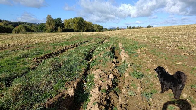 Navrátit vodu do vysušené krajiny