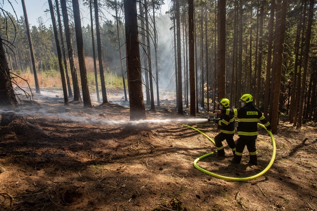 Hasiči evidují vyšší počty požárů v přírodním prostředí 