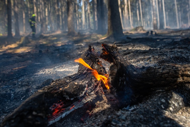 Hasiči evidují vyšší počty požárů v přírodním prostředí 