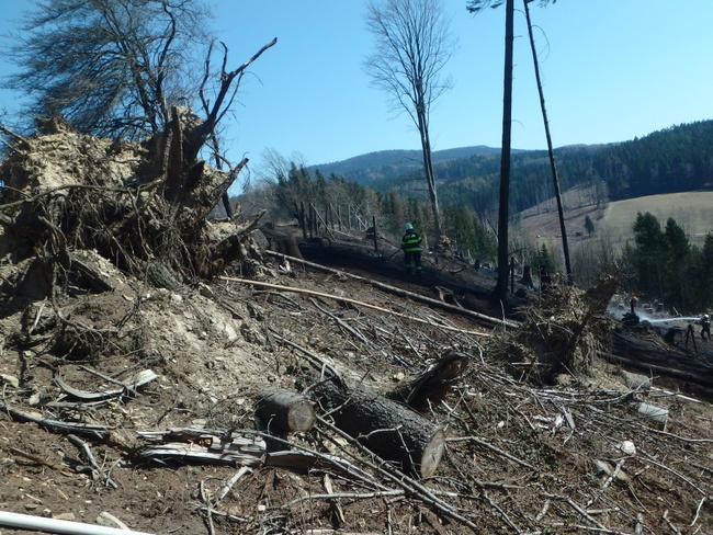 Hasiči evidují vyšší počty požárů v přírodním prostředí 