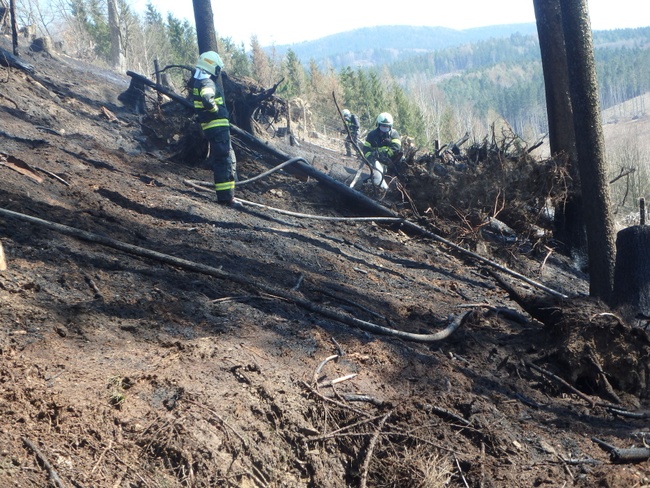 Hasiči evidují vyšší počty požárů v přírodním prostředí 
