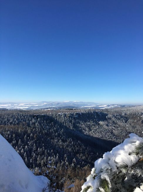 Nikdy bych si nepředstavovala, že by mi mohla chybět škola 