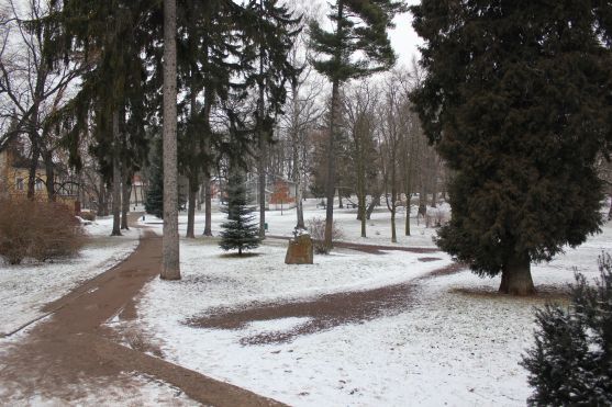 V broumovském Schrollově parku se budou kácet stromy 