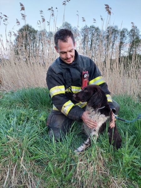 Hasiči zachránili psa z odvodňovacího potrubí