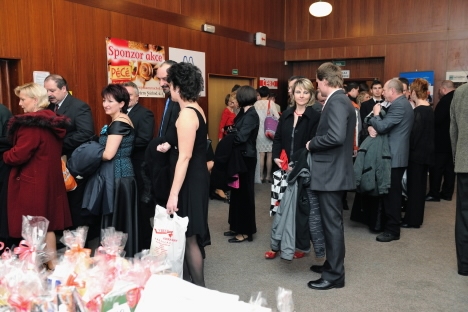 Společenský ples Broumova očima fotografa Jana Záliše 